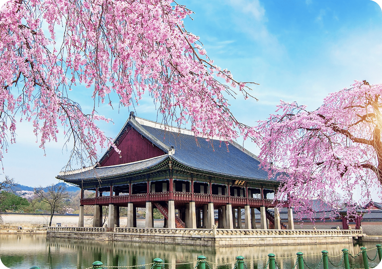 Access the international Gold Standard in city management, co-developed with the ICMA.